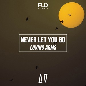 Never Let You Go (Club Mix)
