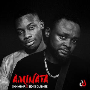 Aminata(feat. Sidiki Diabaté)