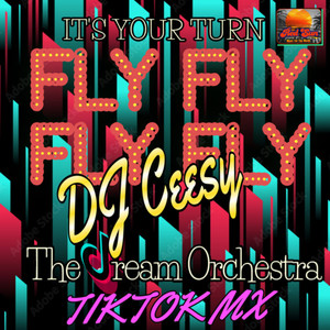 Fly Fly Fly Fly (Tiktok Mix)