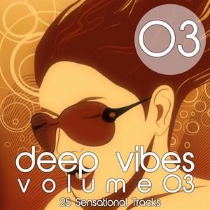 Deep Vibes, Vol. 3