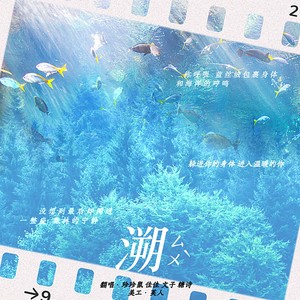 溯