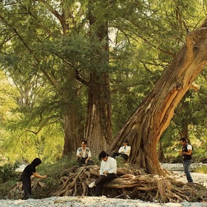 Vámonos al Bosque