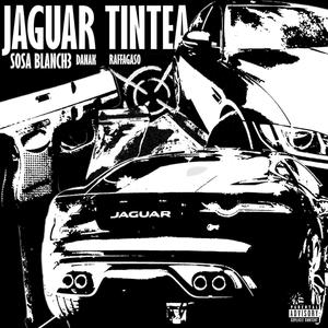 Jaguar Tintea (feat. blanche & raffagaso) [Explicit]