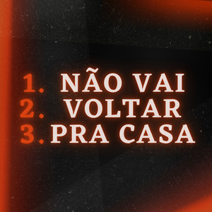 Não Vai Voltar pra Casa (Explicit)