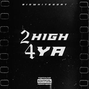 2 High 4 Ya (Explicit)