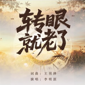 转眼我们就老了 (沧桑版)