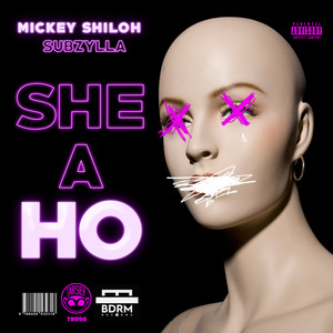 She a Ho (Explicit)