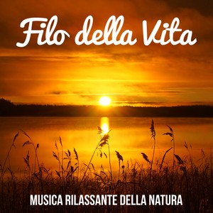 Filo della Vita - Musica Rilassante della Natura per Pensare Positivo Meditazione Yoga Allenare la Mente con Suoni New Age Strumentali