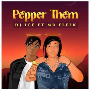 pepper them (feat. Mr Fleek)
