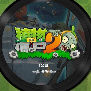 Z公司 最后一波