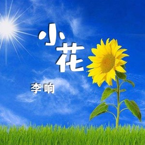 小花 (Demo)