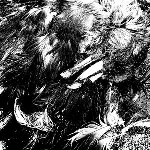 Misplaced Optimism of the Doomed