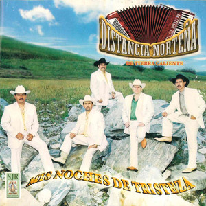 Te Fuistes de Mi Vida