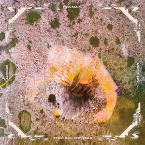 I'd Give It All Up If I Could