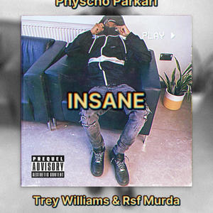 INSANE (feat. Trey Williams & Rsf Murda) (Explicit)