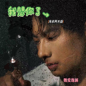 我想你了（海来阿木版）