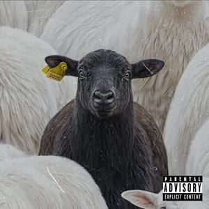 Black Sheep (Explicit)