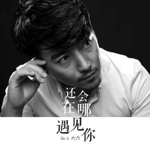 大力 - 还会在哪遇见你 (伴奏)
