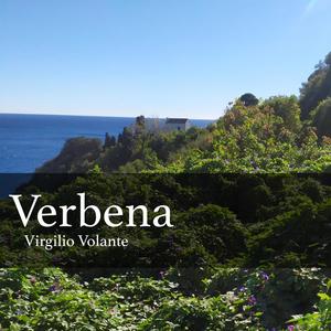 Verbena