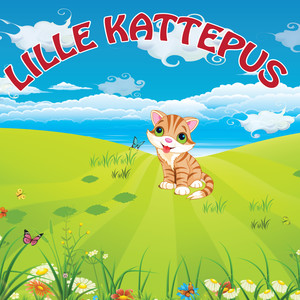 Lille Kattepus