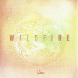 Wildfire