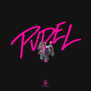 Pudel (Explicit)