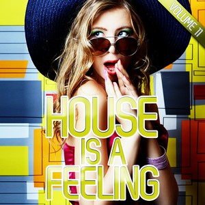 House Is a Feeling, Vol. 11