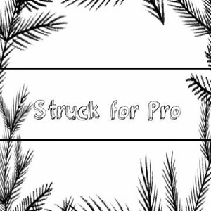 struck for Pro(Original Mix)