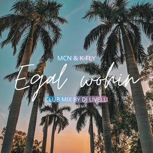 Egal wohin (Club Mix by DJ Livelli)