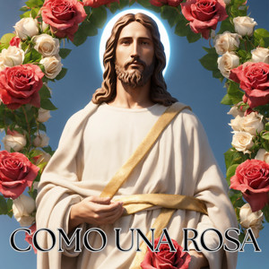 Como una Rosa