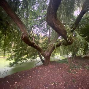 underground (feat. lil vro c) (Explicit)