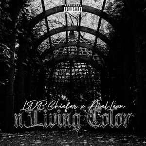 nLiving Color (feat. Axel Leon) (Explicit)