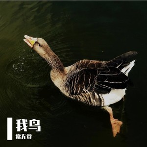 我我我