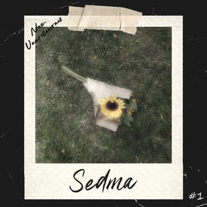 SEDMA (feat. VAARILEVRAIS & Ellesmere)