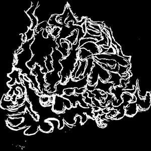 Fall In Line (feat. Graisey) (Explicit)