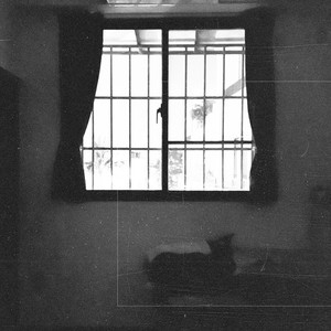 眠脑 - 当它沉睡的时候