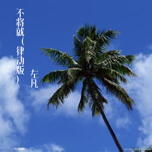 不将就 (律动版)