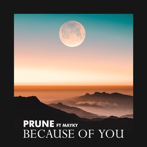 Because of You(feat. Mayky)