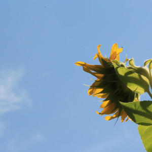 inYourpresence (Aaron Ray LIVE version)