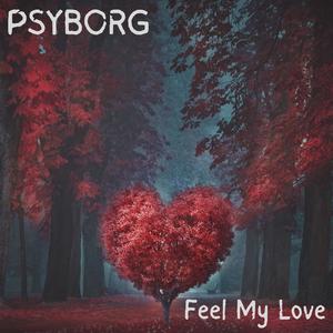 Feel My Love