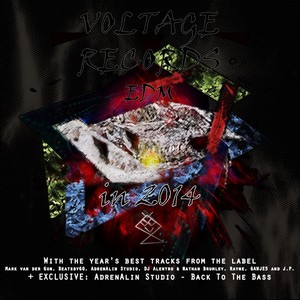 Voltage Records EDM In 2014