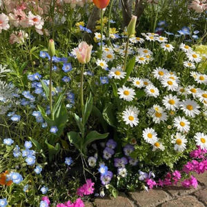 who says (feat. springs!)