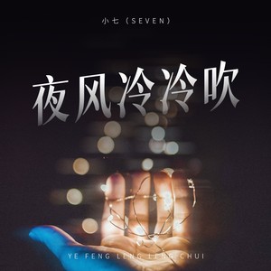 夜风冷冷吹 (伴奏)