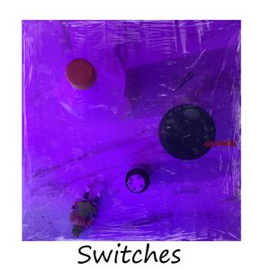 Switches (Explicit)