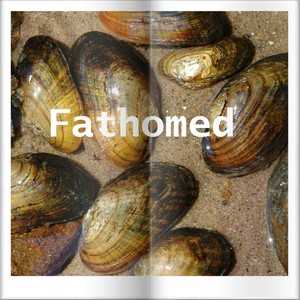 Fathomed