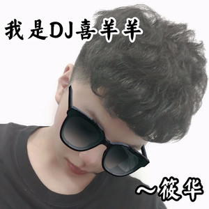 我是DJ喜羊羊