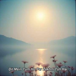 Dil Mein Tum Ho Par Zakhm Toh Hai