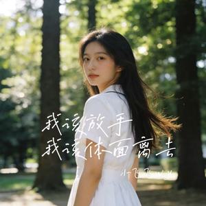 我该放手 我该体面离去