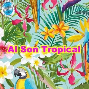 Al Son Tropical