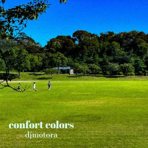 CONFORT COLORS